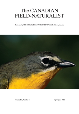 Cover photo - Western Yellow-breasted Chat (Icteria virens auricollis)