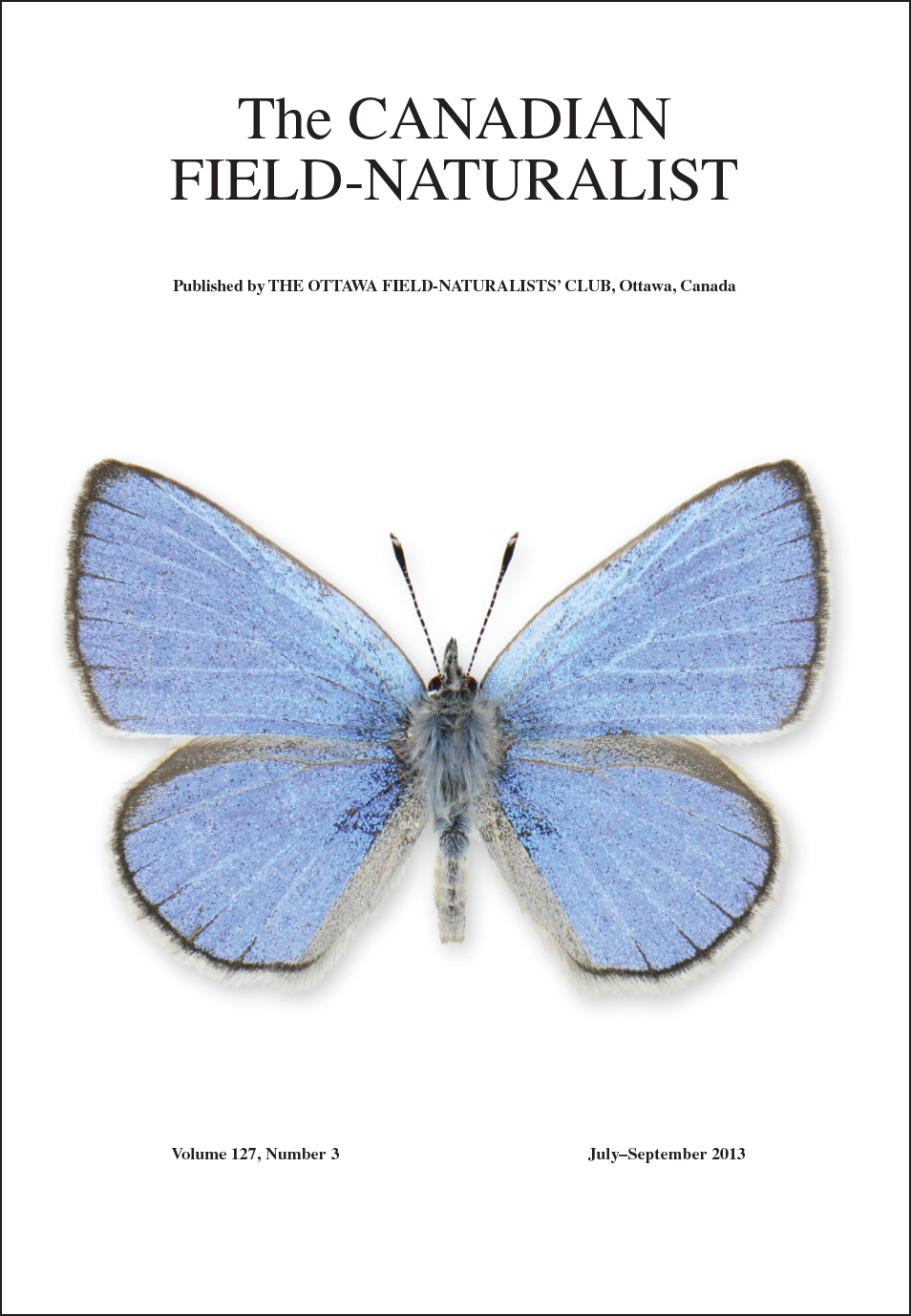 Cover photo (butterfly) vol 127 issue 3, The Canadian Field-Naturalist